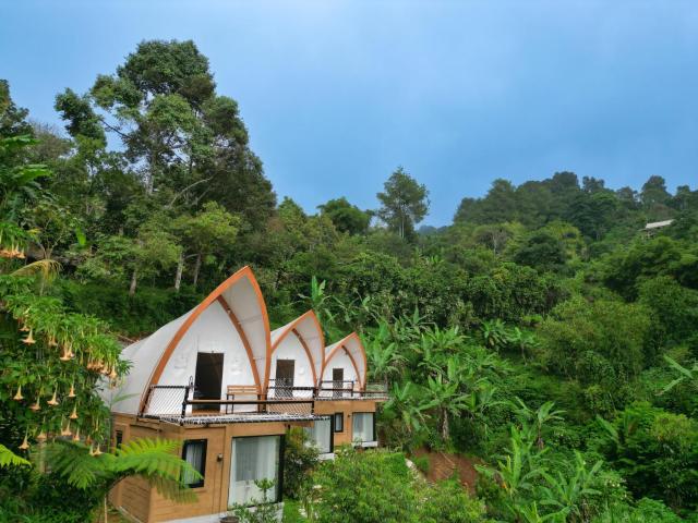 Selayang Olivehill - Kemewahan Glamping di Hutan