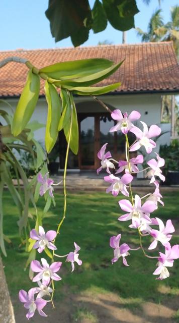 Rumah Markisa Batukaras