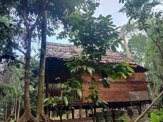 Pondok Wisata kamtabai Forest Hut