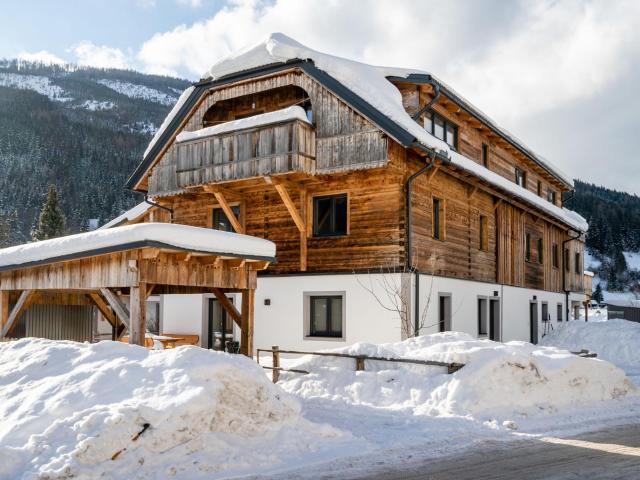 Premium maisonette near ski resorts