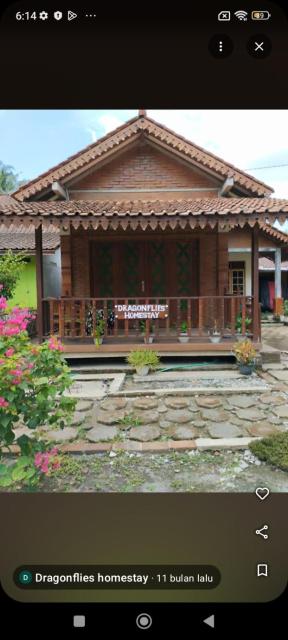 Dragonflies Homestay