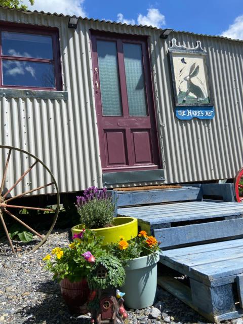 The Hares Hut at Carrigeen Glamping