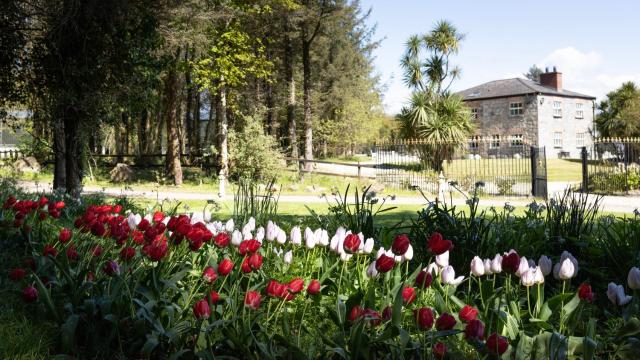 The Garden House at Lissadell