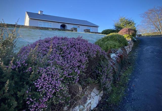 Cottage 479 - Clifden