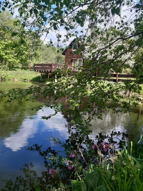 Pod dobrym adresem- domek nad stawem