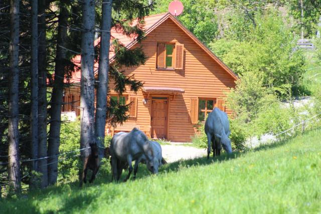 Sternen-Chalet