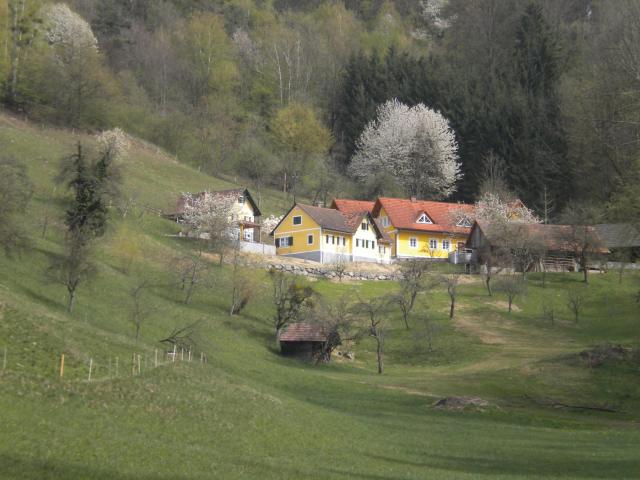 Buchschneider - Ferienhaus Maier - Landhof