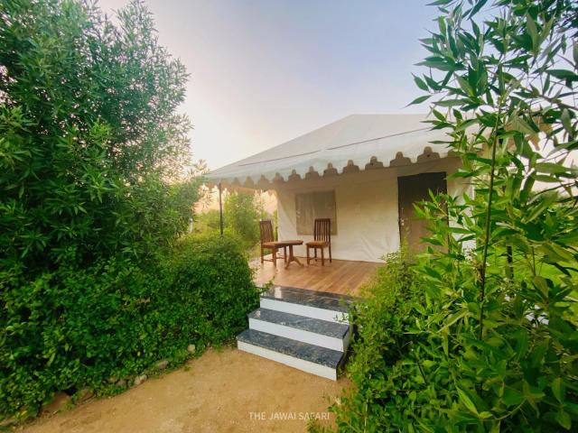 Jawai Horizon Camp