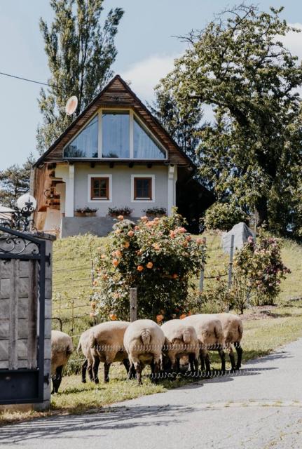 Ferienhaus am HerbstHof