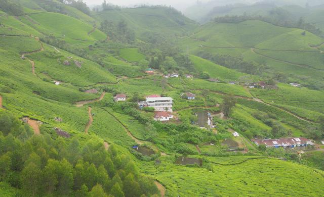 7 Malai Munnar