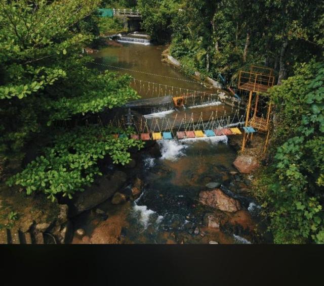 Nature Stay - private waterstream and pool