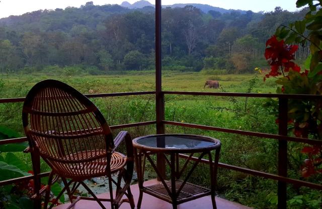 Jungle Retreat Wayanad