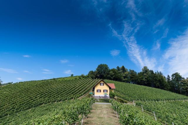 Ferienhaus Weingut Bauer