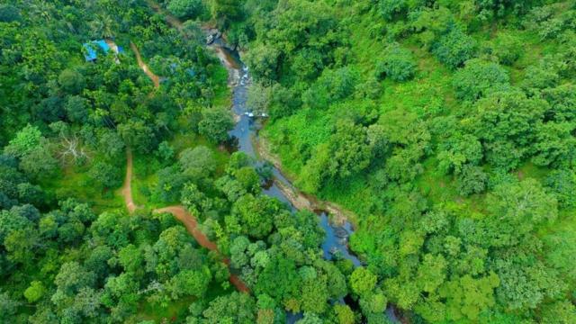 Ranches Jungle Beats Resorts