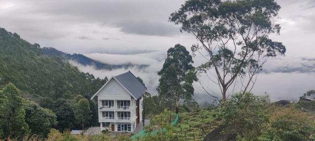 Misty Cabin Valley View