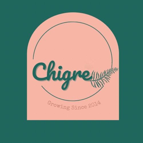 Chigre boutique homestay