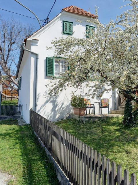 Ferienhaus im Thermenland (Loipersdorf, Blumau)