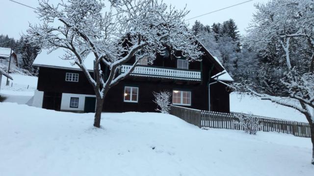 Ferienhütte Antonia