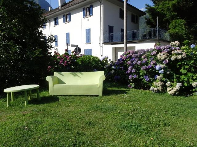 Il giardino delle ortensie