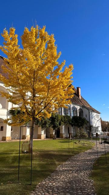 Schloss Welsdorf