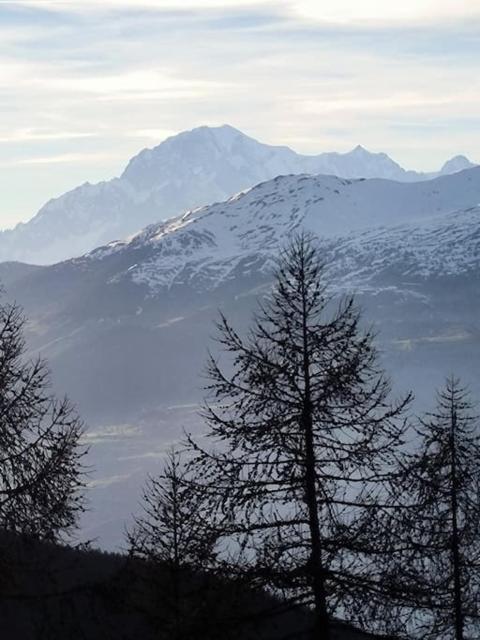 Il Nido di Montagna