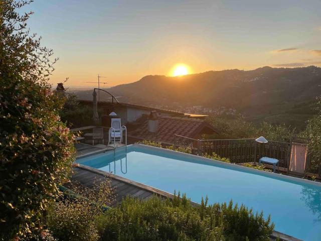 La cicala sulle colline della Versilia, con piscina