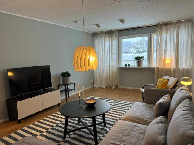 2 Bedroom apartment close to Branäs Resort