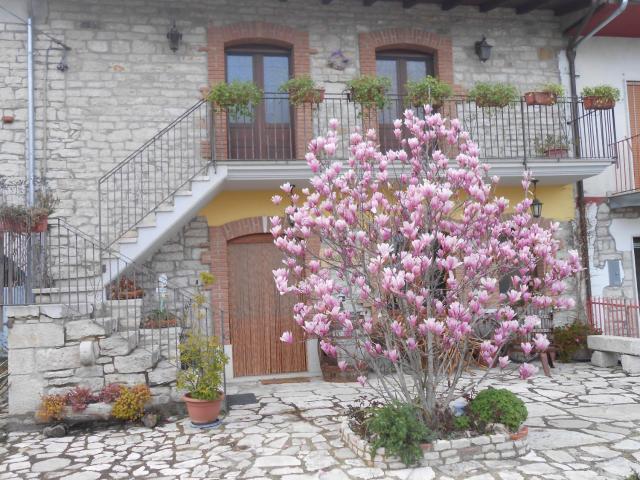 Masseria Rosella - Longhi