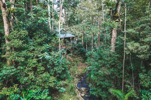 Narrows Escape Rainforest Retreat