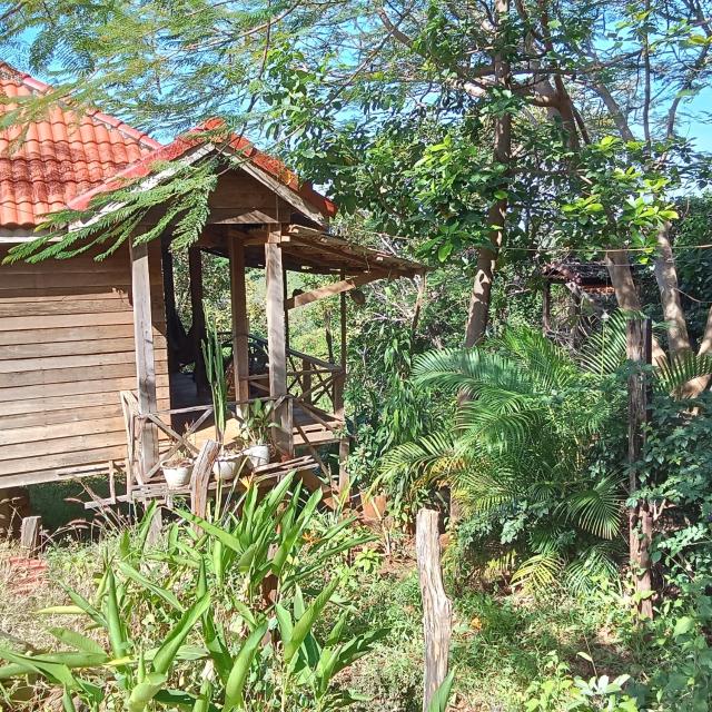 Garden View Lodge & Eco-Lodge