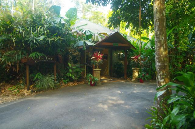 Heritage Lodge - in the Daintree