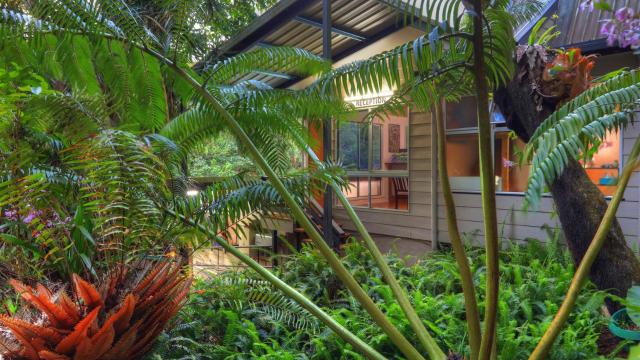 Chambers Wildlife Rainforest Lodges