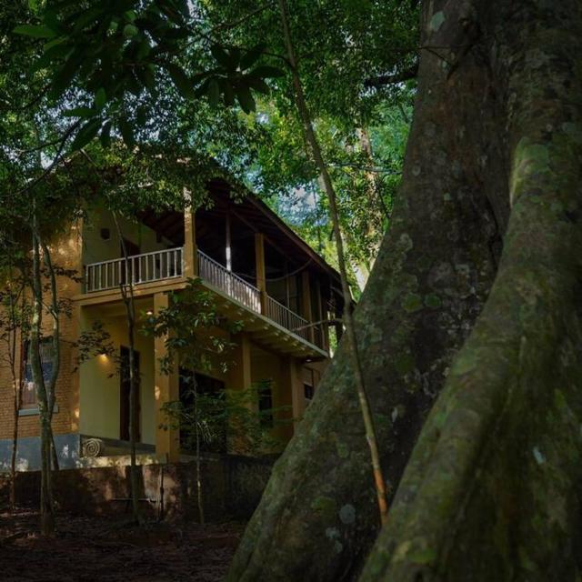 Weralugama Forest House