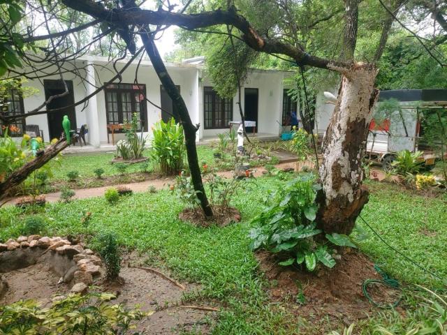 Nature Bird Paradise Hotel Sigiriya