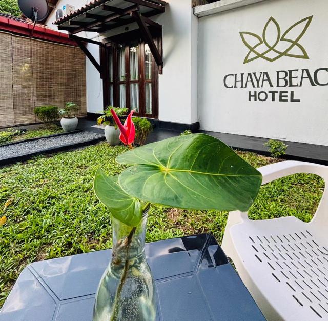 Chaya Beach Hotel,Tangalle