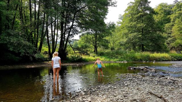 Camping Vallee de l'Our