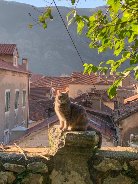 Charming rooftop view