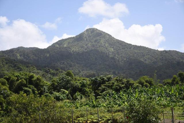 O Logis du Morne Jacob "CITRON", Le Morne-Rouge Martinique