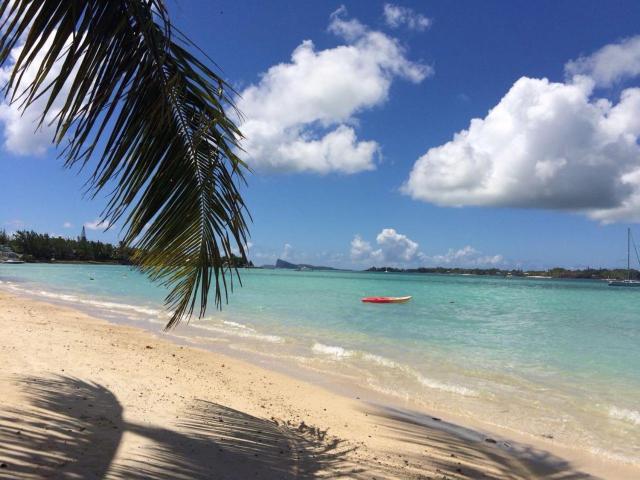 Bel appartement sur la route côtière à 50 m d une très belle plage