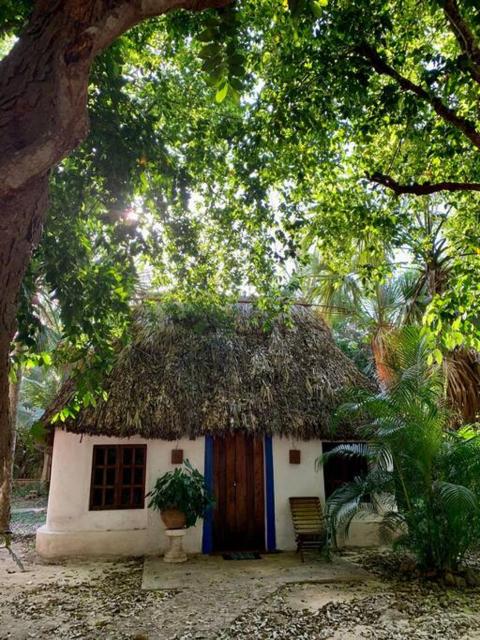 Cabañas Pájaro Azul