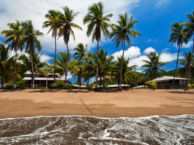 Playa de Oro Lodge