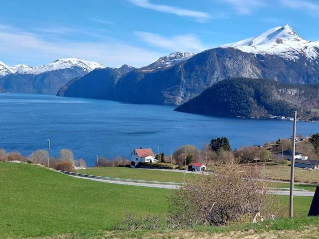 Norwegian Fjords Time Out