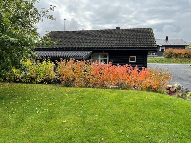 Nice log house close to Lillehammer and Sjusjøen