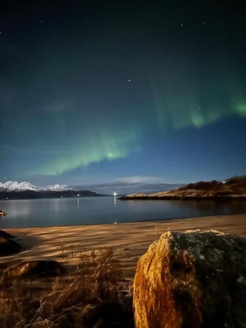 Seahouse Bodø