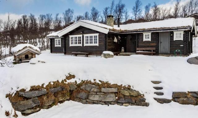 Charming cabin Near Jotunheimen Trails