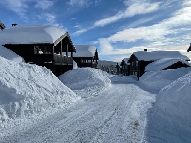 Ideal cabin for skiing near Beitostølen Stadium