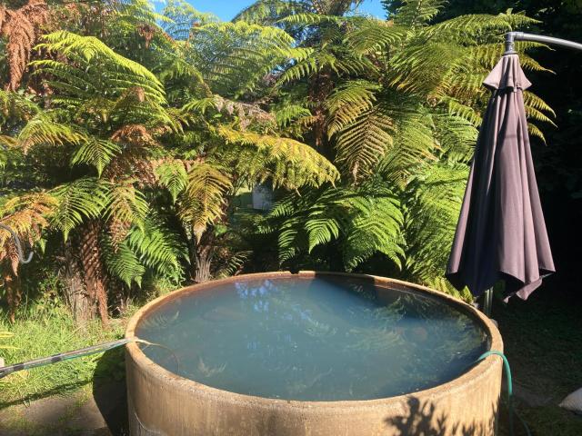 Whare&geothermal pool by lake Taupo