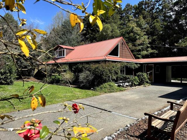 Kauri Lodge