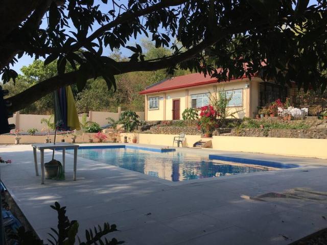 The poolhouse at McKirdy's mango farm