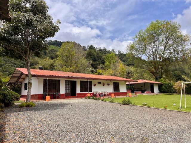 Paraiso Cocora